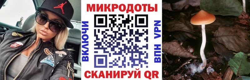 купить наркотик  Нея  Галлюциногенные грибы Magic Shrooms 
